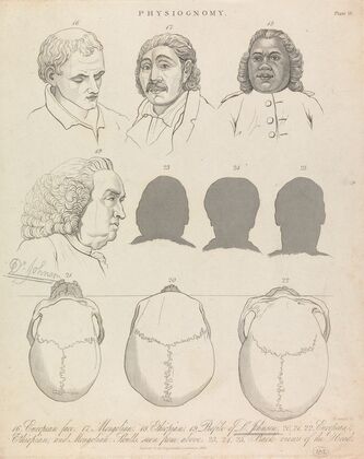 Physiognomy
