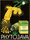Phytojava (1910-1950)