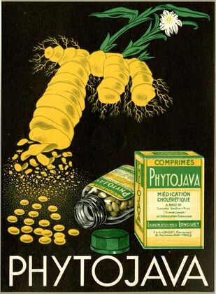 Phytojava (1910-1950)