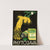 Phytojava (1910-1950) by Laboratoires Longuet