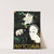 Phytojava (1910-1950) by Laboratoires Longuet