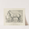 Picador; weight 1950 lbs. (1883) by Currier & Ives.