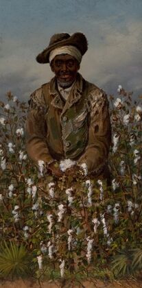 Pickin’ Cotton