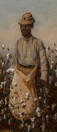 Picking Cotton