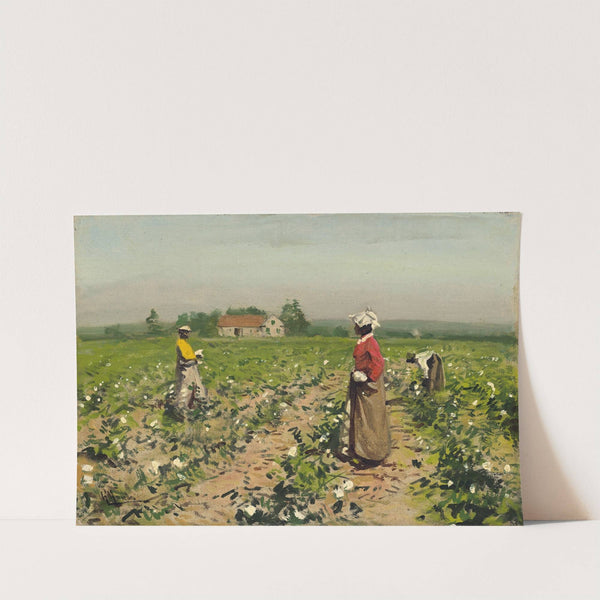 Picking Cotton (c. 1890) by William Gilbert Gaul