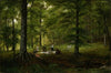 Picnic Scene