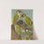 Picus viridis by Johann Friedrich Naumann