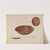 Pie Plate by Jules Lefevere