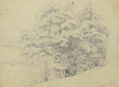 Study sheet; Boy’s head