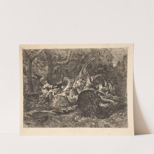 Pies sous bois (Magpies under the trees) (1864) by Jules Joseph Augustin Laurens