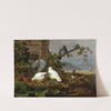 Pigeons by Ferdinand von Wright