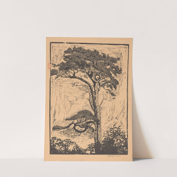 Pijnboom by Reijer Stolk