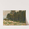 Pine Forest by Ivan Ivanovich Shishkin
