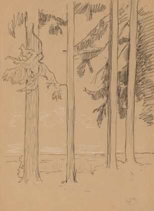 Pine Trees near Seyfriedsberg (1900)