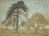 Pine Trees Tyresö