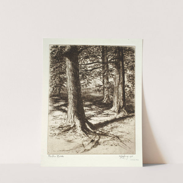 Pine Woods by C. Jac Young