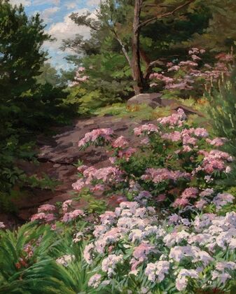 Pink and White Rhododendron in a Forest
