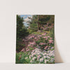 Pink and White Rhododendron in a Forest by Thomas Allen, Jr.