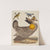 Pinnated Grous, Blue-green Warbler, and Nashville Warbler (1808-1814) by Alexander Lawson