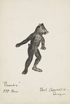 Pinocchio: Black Bear (1934-1943)