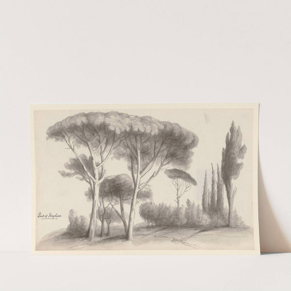 Pins et peupliers (1777-1825) by Jean Jacques Lequeu