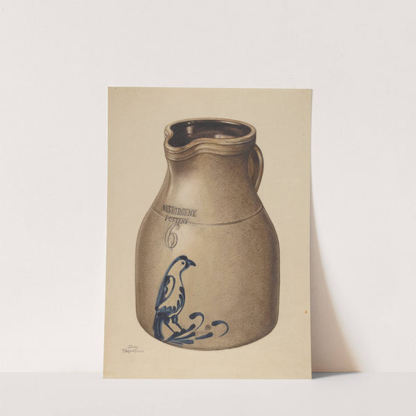 Pitcher by John Tarantino