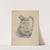 Pitcher by Louis Annino