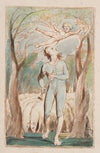 Pl. 1 – Frontispiece