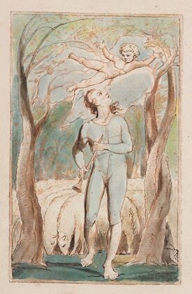 Pl. 1 – Frontispiece