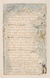 Pl. 15 – A Dream
