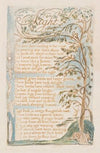 Pl. 18 – Night