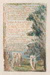 Pl. 19 – Night