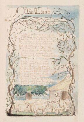 Pl. 20 – The Lamb