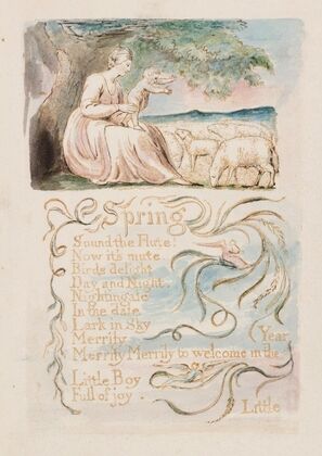 Pl. 7 – Spring
