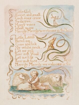 Pl. 8 – Spring
