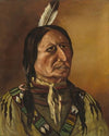Plains Indian (19th century)