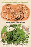 Plan and Grow for Winter – Winter Fruits from Overseas Have Now to be Replaced by These