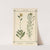 Plant-atlas to &#039;My water-cure&#039; Pl.04 by Sebastian Kneipp