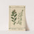 Plant-atlas to 'My water-cure' Pl.19 by Sebastian Kneipp
