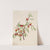 Plant Study (1921) by Mary Vaux Walcott