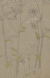 Plantenstudie
