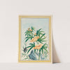 Plantes de Chine Pl.018 (1776) by Pierre Joseph Buchoz