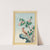 Plantes de Chine Pl.048 (1776) by Pierre Joseph Buchoz