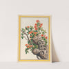 Plantes de Chine Pl.066 (1776) by Pierre Joseph Buchoz