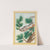 Plantes de Chine Pl.093 (1776) by Pierre Joseph Buchoz