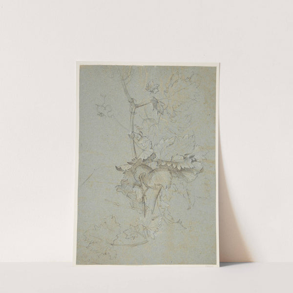Plantestudie by Rachel Ruysch
