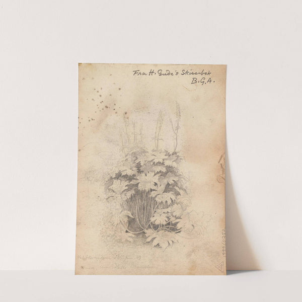 Plantestudie ved Hurrungene by Hans Gude