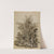 Plants at Water’s Edge by Carl Wilhelm Kolbe the elder