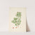 Plants of the coast of Coromandel Pl.002 by William Roxburgh
