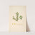 Plants of the coast of Coromandel Pl.051 by William Roxburgh
